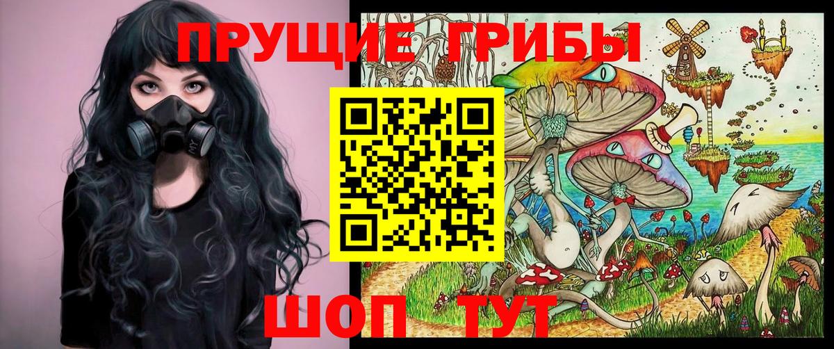 Галлюциногенные грибы мицелий Орёл